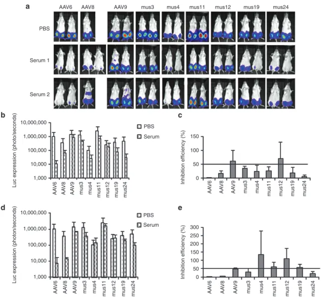 Figure 3 Cross-reactivity of NAbs on AAV mutants isolated from muscle. 1 × 10 9  particles of AAV/luc mutants isolated from mouse muscle and  wild serotypes were incubated with an equal volume of fivefold diluted patient serum 1, 2, or PBS for 2 hours at 4