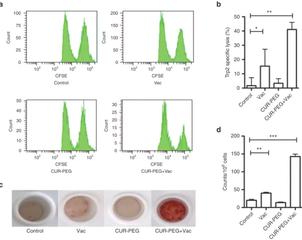Figure 2 In vivo cytotoxic T-lymphocyte (CTL) response and ELISPOT assay. (a,b) In vivo CTL response after different treatments