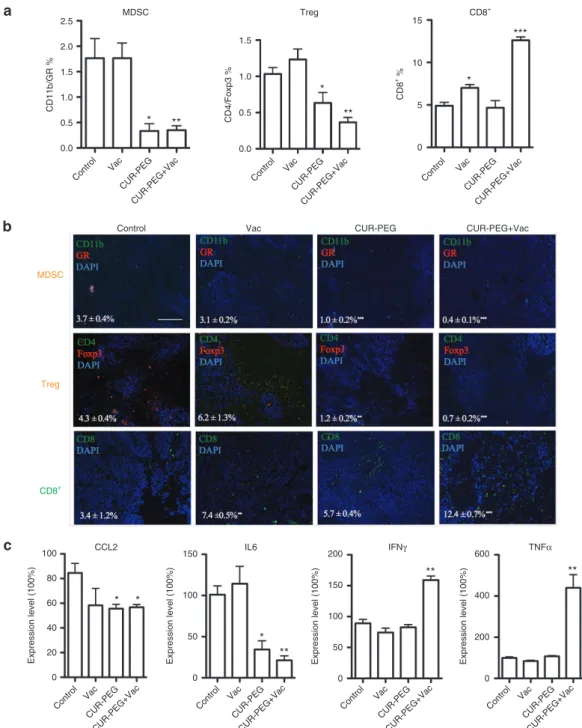 Figure 3 Changes of tumor-infiltrating immune cells and cytokine levels in tumor microenvironment