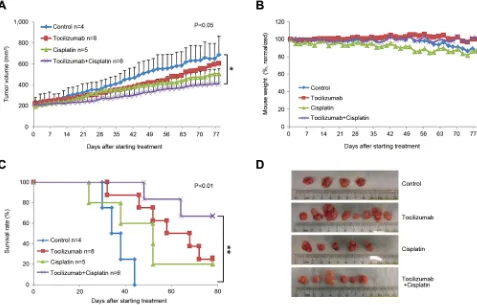 Figure 2: Effect of tocilizumab and/or cisplatin in preclinical models of mucoepidermoid carcinoma