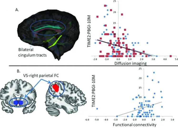 Figure 2. Representation of neural variables showing nonzero relationships with 