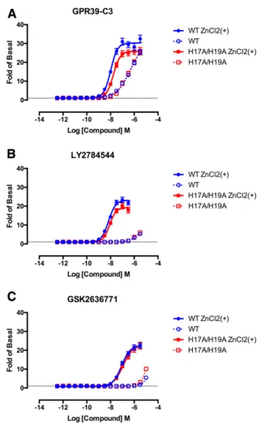 Table 7). As with Gq signaling, the double mutation com- com-pletely abolished Gs signaling stimulated by either Zn 2 1 or Ni 2 1 (Fig