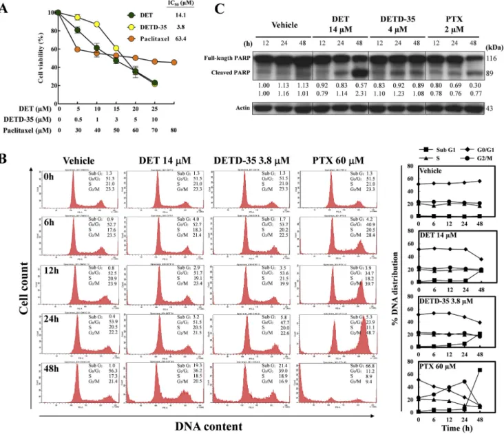 Figure 5C. The 48-h DET treatment induced significant cleav- cleav-age in PARP, while 48-h PTX treatment reduced the expression of full-length PARP