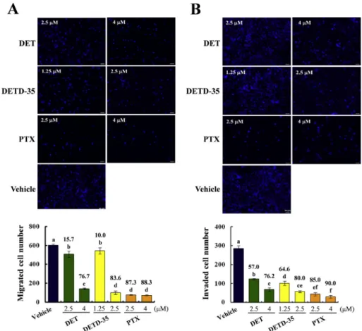 Figure 6 e Representative photomicrographs of (A) migration analysis and (B) invasion analysis of MDA-MB-231 cells treated with vehicle, DET, DETD-35 and PTX, respectively for 24 h by Boyden chamber assay