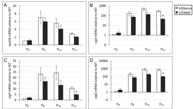 Figure 3. Sporulation-specific gene expression is decreased in a CD3668 mutant