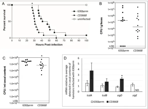 Figure 7. Disruption of CD3668 results in increased morbidity in the hamster model of C