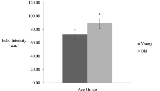 Figure 3. Medial gastrocnemius echo intensity (EI) values for the young and old men.    *  indicates a significant difference between groups (P<0.01)