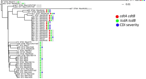 FIG 1 Phylogenetic tree of the 46 C. difﬁcile strains based on the genome-wide SNPs. The neighbor-joining phylogenetic tree was constructed based on the SNPsfrom the core gene sets