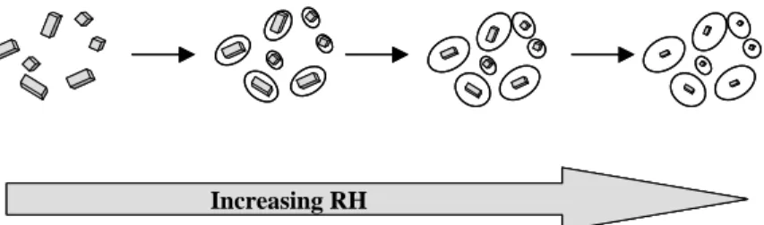 Figure 1.3. Hygroscopic growth. Particles absorb moisture as they  traverse the humid environment of the airways resulting in increased  particle size