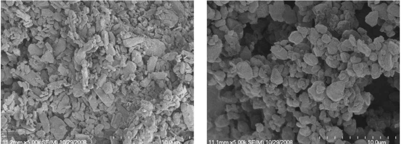 Figure 2.4 Micronized drug particles at 5000x magnification. (a) Albuterol sulfate, (b) budesonide