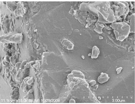 Figure 2.6. Lactose SV94 particles at 15,000x magnification. Fine particles in the single micron range are  present at the particle surface
