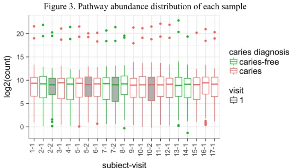 Figure 3. Pathway abundance distribution of each sample 