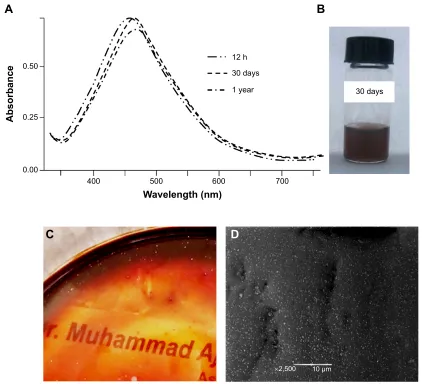 Figure 8 UV/Vis spectra of a 100 mmol agNO3 solution in HPC, a vial indicating the color of the solution, see-through Ag NP-embedded HPC thin film, and SEM image of thin films taken after 1 year of storage under dark conditions.Notes: (A) UV/Vis spectra of