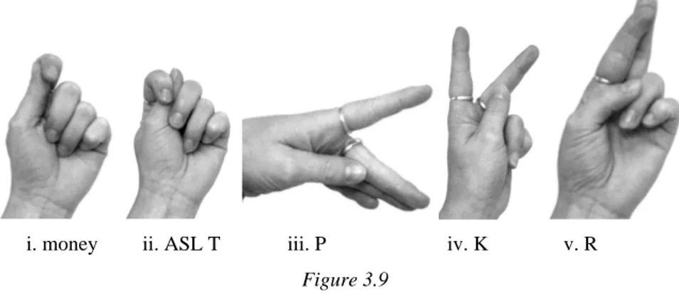 Figure 3.9 Exceptional handshapes