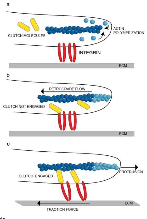 Figure 1.1.   The molecular 