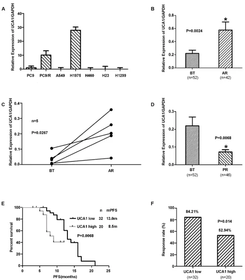 Figure 1: A. The expression of UCA1 in lung cancer cells. Over-expression of UCA1 was observed in lung cancer cells with acquired resistance (PC9/R and H1975cells); however, in primary resistant cells (A549, H460, H23 and H1299), UCA1 was down-regulated (P