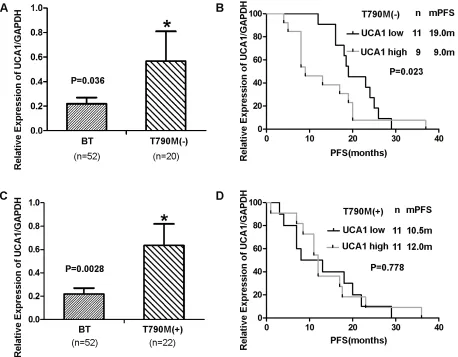 Table 2: UCA1 is up-regulated in human EGFR-mutant NSCLC specimens from individuals with acquired resistance to EGFR-TKIs