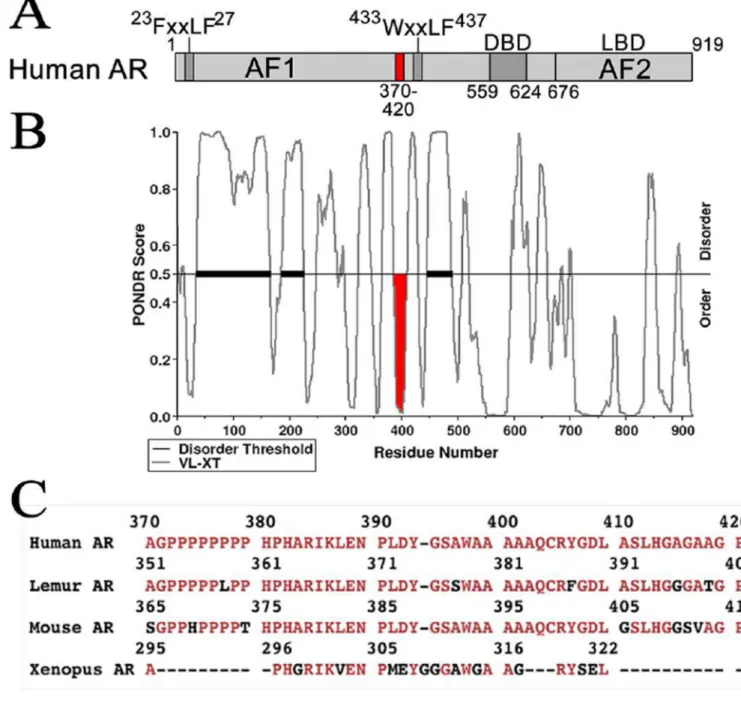 Figure 1. Human AR domains and sequence