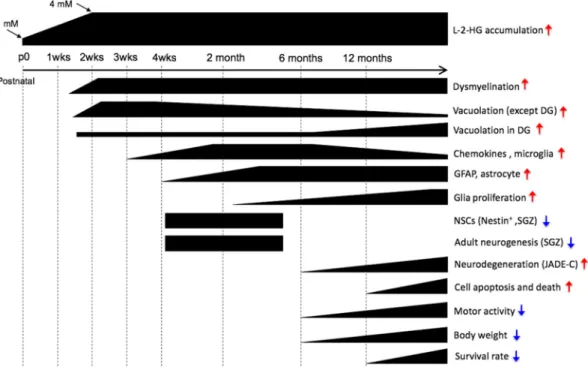 FIG 6 Legend (Continued)