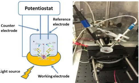 Figure 9: Left hand side is schematic diagram of the electrochemistry setup. Right  hand  side  is  the  picture  of  the  photocurrent  experiments  setup