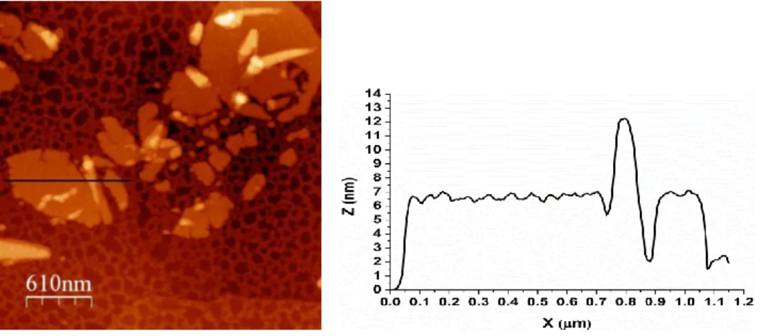Figure  1:    Typical  Atomic  force  microscopy  (AFM)  image  with  height  profile of 2D-crystals of  RC-LH1 complexes adsorbed on a thin (10 nm) gold  layer
