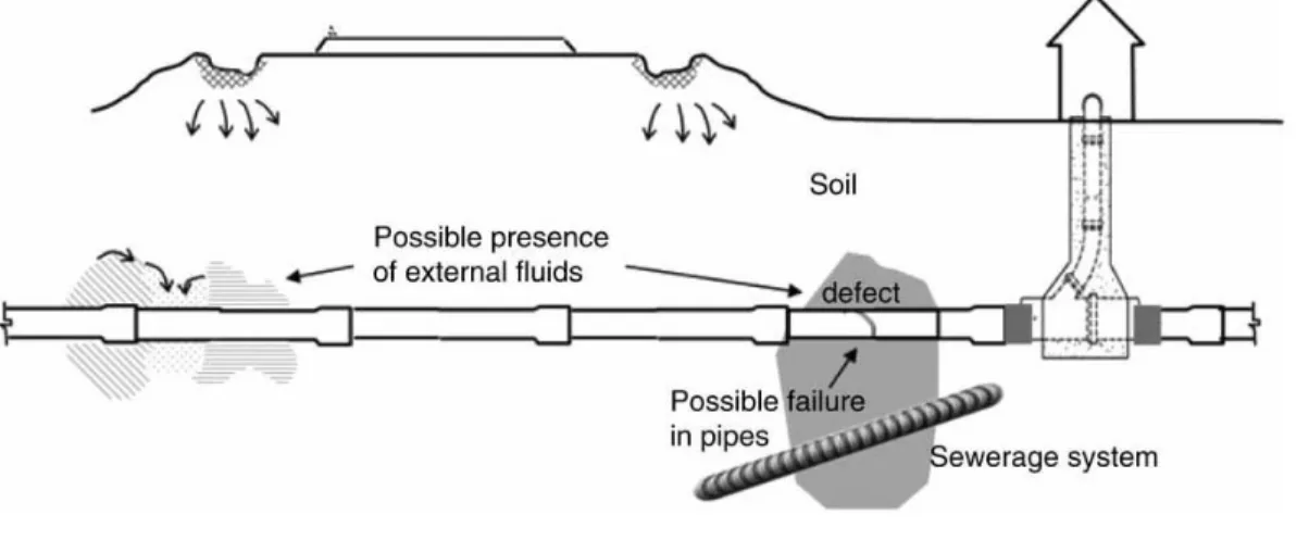 Figure 9: Pathogen intrusion factors. 