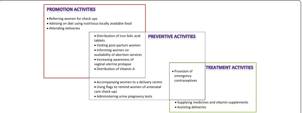Fig. 1 Summaries of Female Community Health Volunteers’ (FCHVs) maternal health services