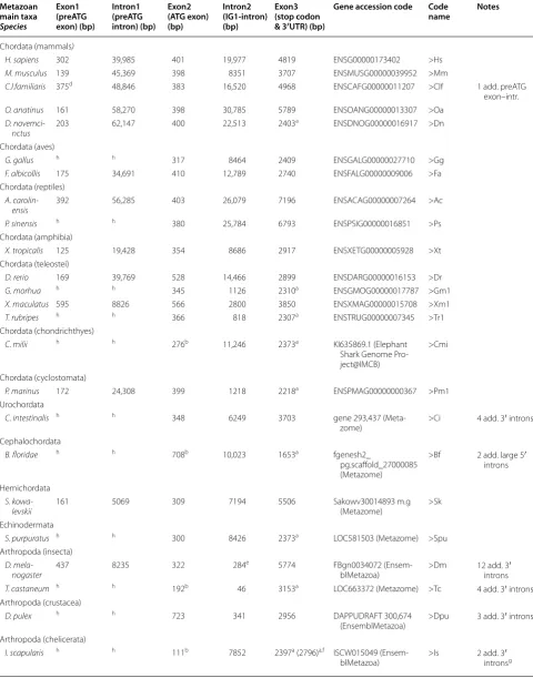 Table 1 Summary of DG gene structures from species representative of all the animal groups in which a DG gene was identified