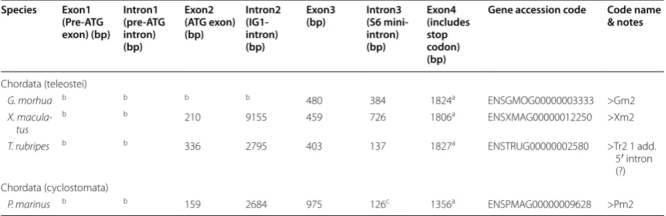 Table 2 Details of the gene structures of the paralogous form of DAG1 (DAG1a) present in species of teleostei and cyclos-tomata