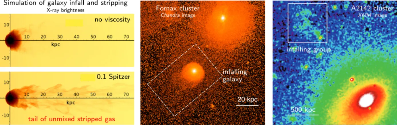 Fig. 2 — Plasma viscosity determines how the gas is stripped from the infalling groups and galax- galax-ies