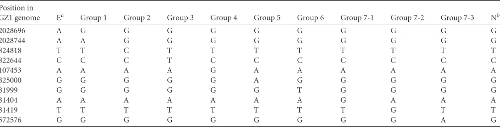 TABLE 1 Primers used in the study