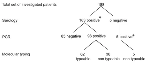 FIG 1 Flow chart of the patients investigated in this study. Seronegative sam-ples that were PCR negative were excluded from this study