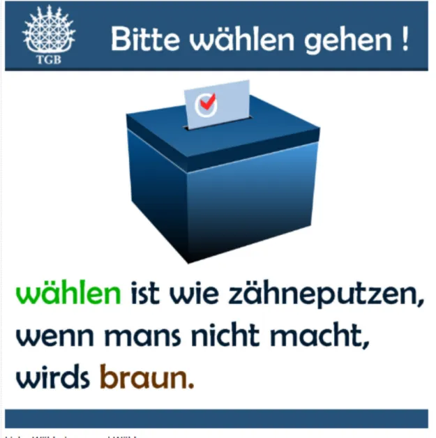Figure 4: TGB Campaign Post: “Please go vote! Voting is like brushing your teeth, if you  don’t do it, they’ll turn brown!” 