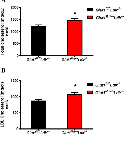 Figure  7.  Lack  of  macrophage  GLUT1 increased  plasma  total  cholesterol  and  LDL  cholesterol