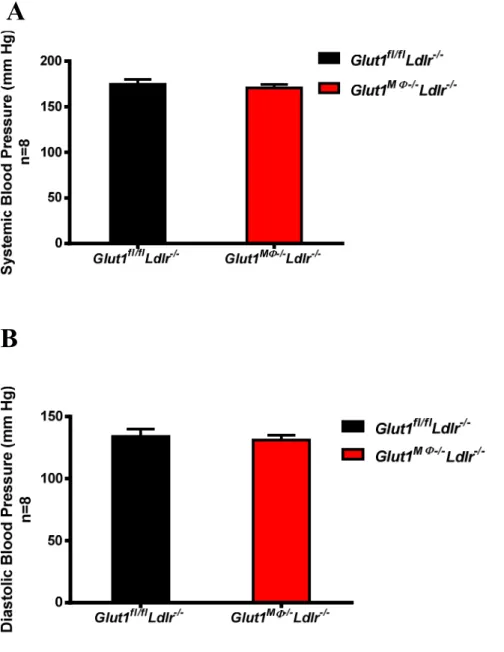 Figure 9. Deletion of macrophage GLUT1 did not change blood pressure after 6 weeks on  WD