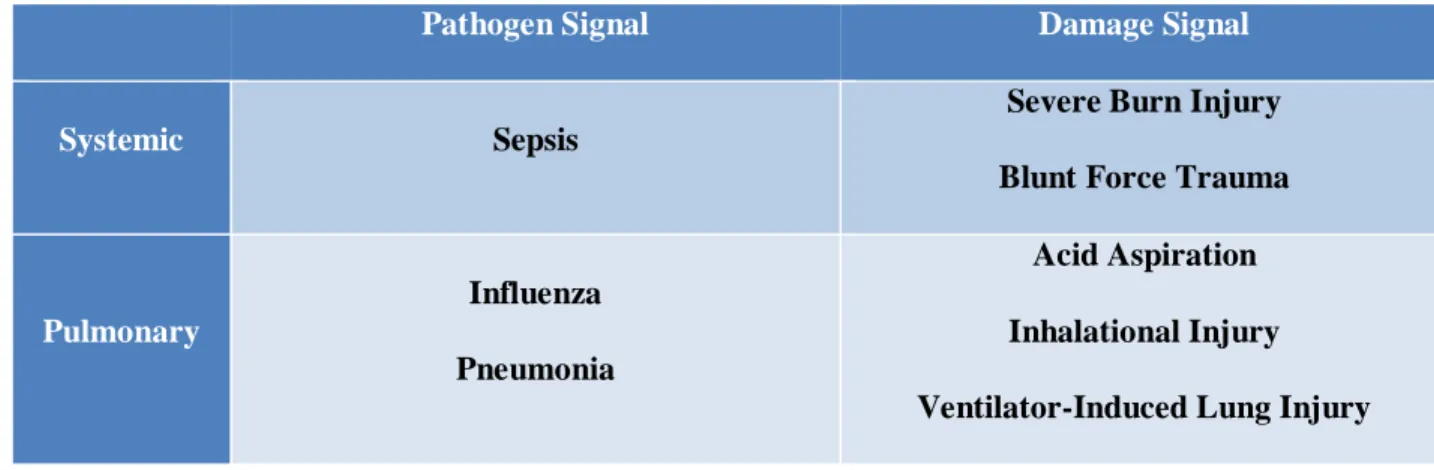 Table 1.1: Challenges that lead to Acute Lung Injury (ALI).  