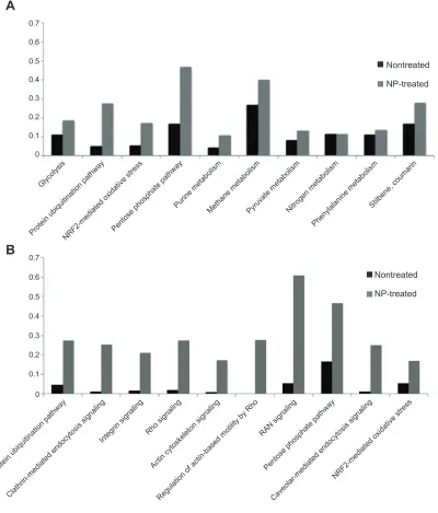 Figure 5 Functional annotation of RBC proteins identified by nano-LC–MS/MS.Notes: Top ten of significant CPs for (A) untreated and (B) NP-treated RBC extract
