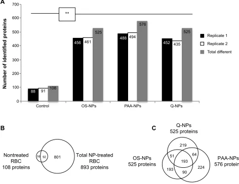 Figure 2 Protein identification results and NP comparison.Notes: (A) Graphical representation of the number of identified proteins by nano-LC–MS/MS in each replicate, in nontreated and NP-treated RBC lysates