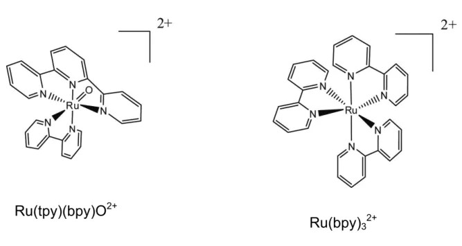 Figure 1.2.  Structures of the two metal complexes used as metallonucleases in this work Ru(tpy)(bpy)O2+