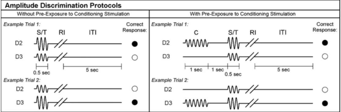 FIGURE 2. Schematics of amplitude discrimination protocols. The vibrotactile conditioning stimulus was delivered 1 second before presentation of the pair of test and standard stimuli (right panel).