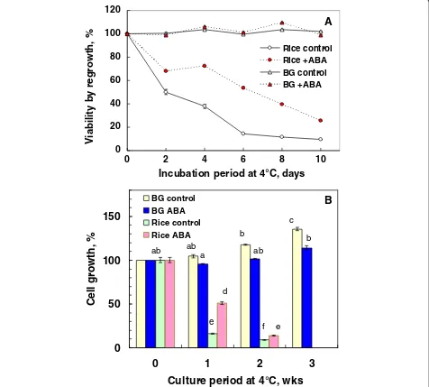 Figure 1 Chilling sensitivity of suspension cells of rice and bromegrass cultured at 4°C in the presence or absence of 75inoculated in 12.5 mL of N6 medium or ER medium were incubated at 4°C in the presence or absence of 752 day pre-incubation at 25°C