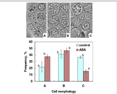 Figure 9 Differences in cellular morphology types (A-C) of protoplasts isolated from rice suspension cells grown in the presence orvacuolated) were shown on top of the graph