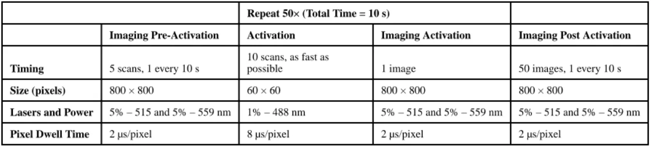 Table 3 Imaging timeline