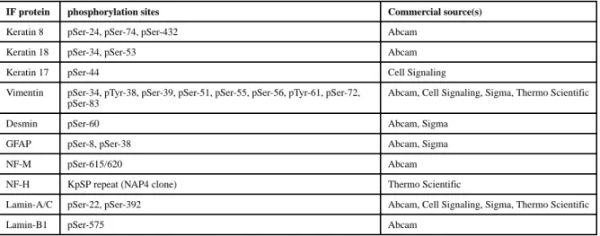 Table 5 Phospho-site specific antibodies