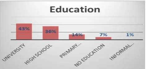 Figure 5: Distribution of “Education” amongst the interviewees. 