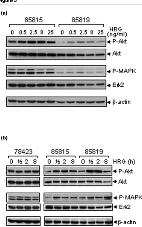 Figure 5Figure 6