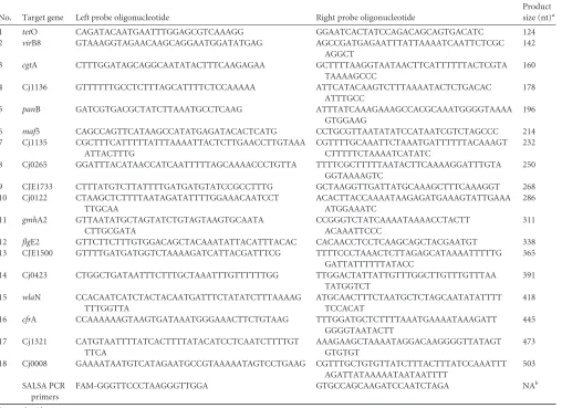 TABLE 1 Target genes, speciﬁc probe sequences, and primer sequences used in Campylobacter MBiT