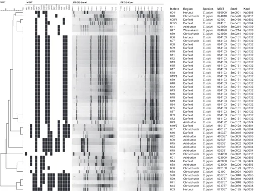 FIG 2 Cluster analysis of Campylobacter MBiT data for the isolates submitted during the Darﬁeld waterborne gastroenteritis outbreak, prepared using simplematching and unweighted-pair group method with arithmetic mean (UPGMA).