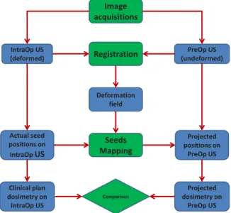 Figure 2 demonstrates the di fference in prostate shape before (a) and after (b) cover inflation with the calcification marked.