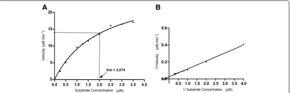 Figure 5 Michaelis- menten and lineweaver- burk plots of rHhMan using guar gum as substrate